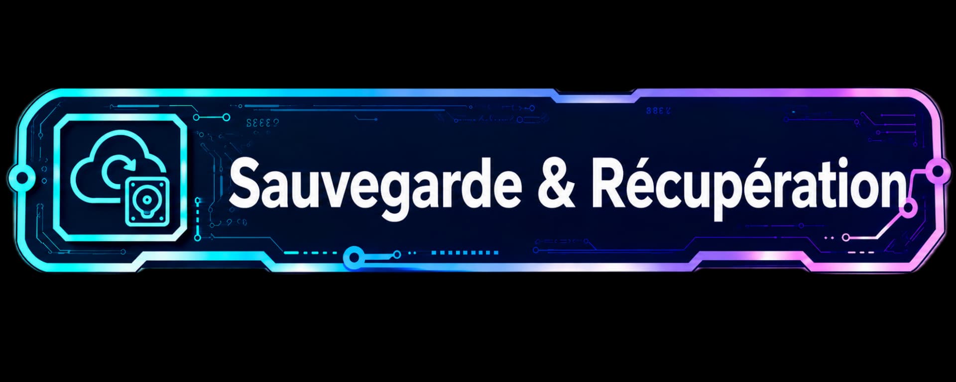 Sauvegarde & Récupération